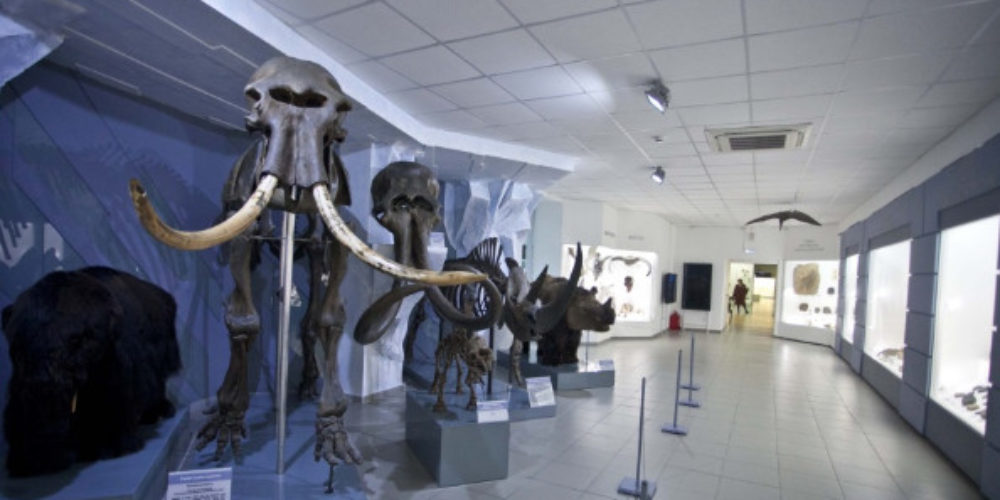 Spend the night with a mammoth! Join ‘Night of the Museums’